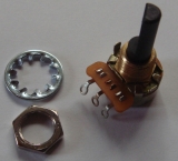 Mesa Boogie Potentiomètre 100K log/audio