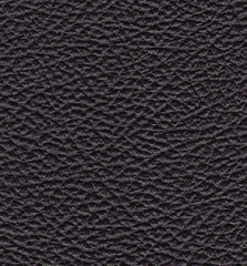 Fender Tolex, black