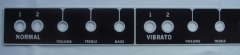 faceplate / front panel for Deluxe Reverb blackface