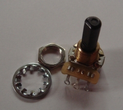 Mesa Boogie Potentiometer B250K lin